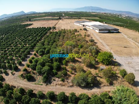 Αγροτεμάχια 6.132τ.μ. για πώληση-Άργος