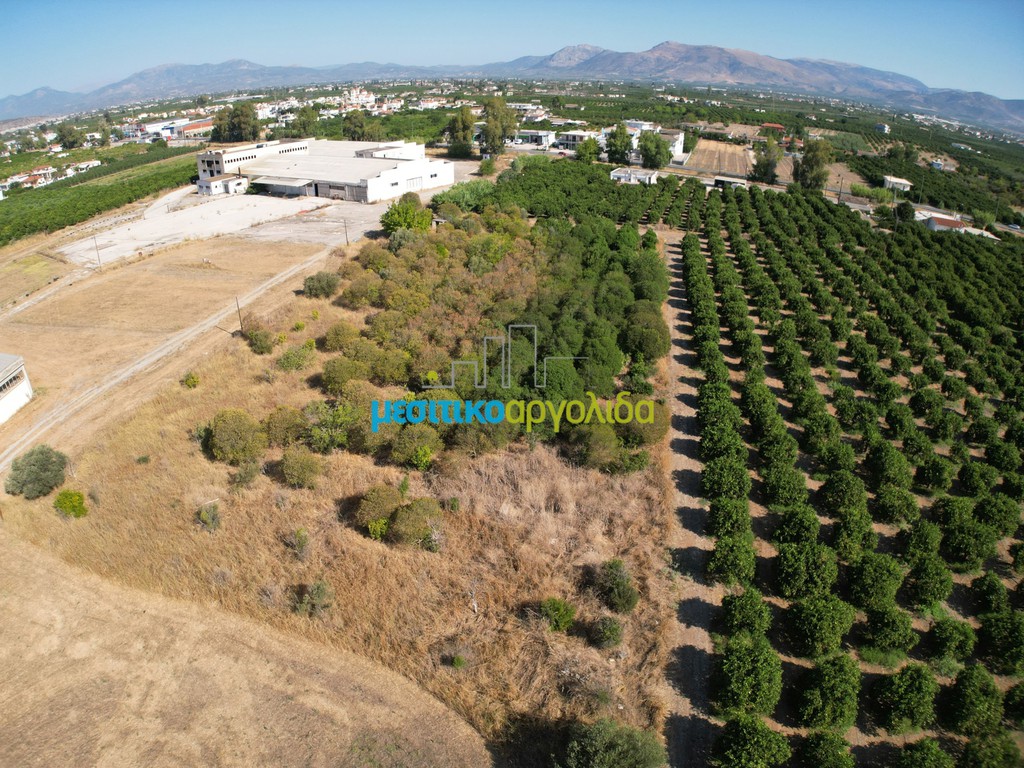 Αγροτεμάχια 6.132 τ.μ. προς πώληση, Δαλαμανάρα