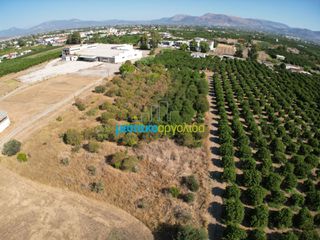 Αγροτεμάχια 6.132 τ.μ. προς πώληση, Δαλαμανάρα-thumb-3