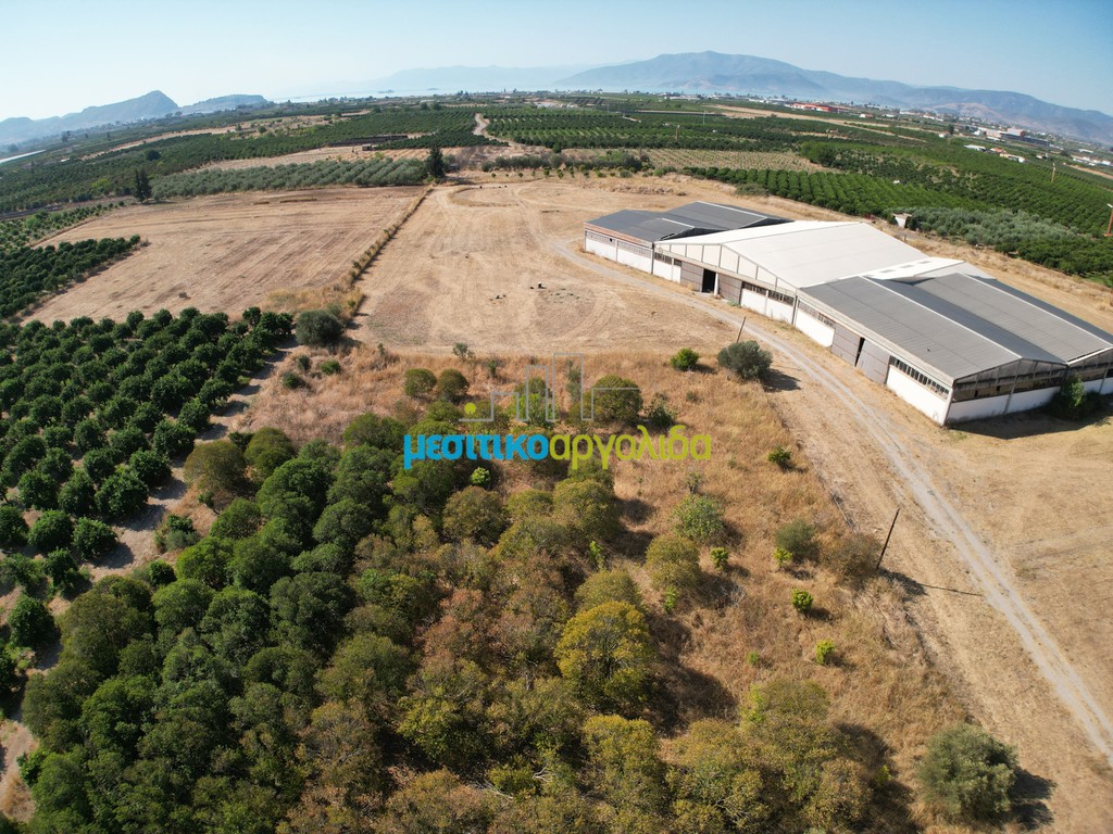 Αγροτεμάχια 6.132 τ.μ. προς πώληση, Δαλαμανάρα