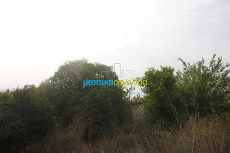 Αγροτεμάχια 6.132 τ.μ. για πώληση