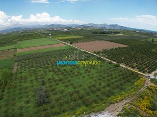 Αγροτεμάχια 21.401 τ.μ. προς πώληση, Δαλαμανάρα-thumb-5