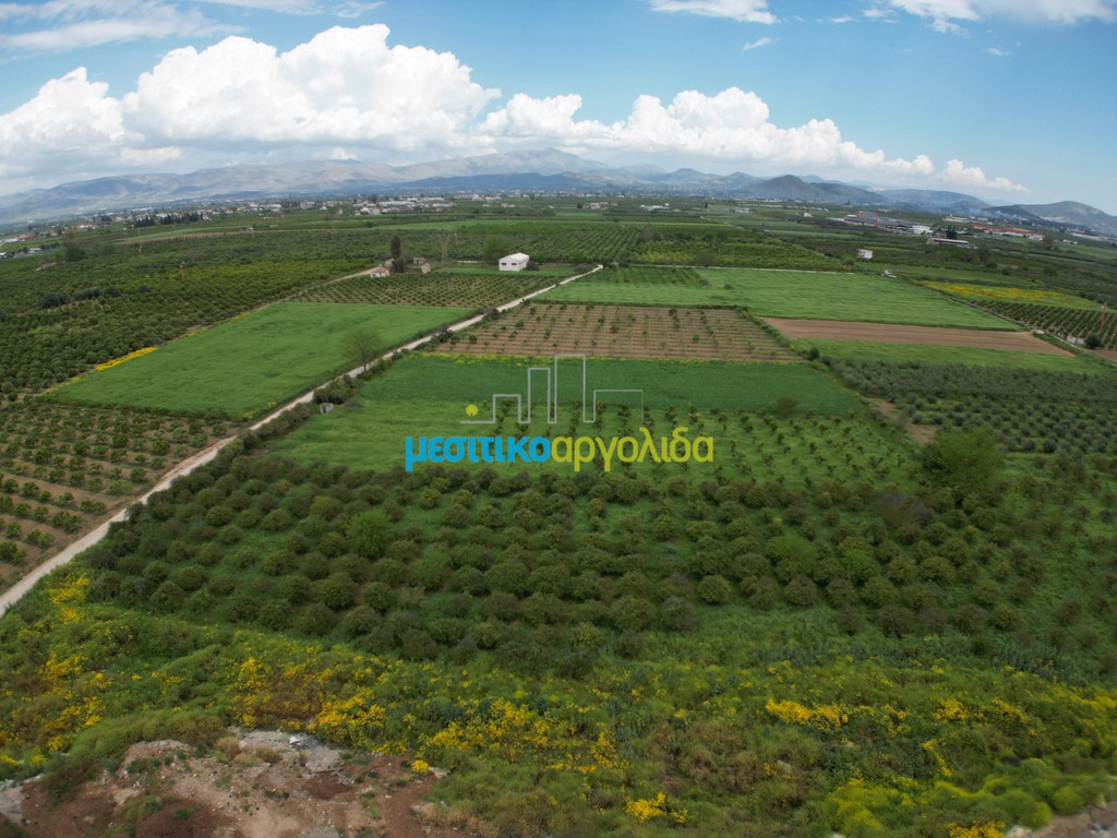 Αγροτεμάχια 21.401 τ.μ. προς πώληση, Δαλαμανάρα