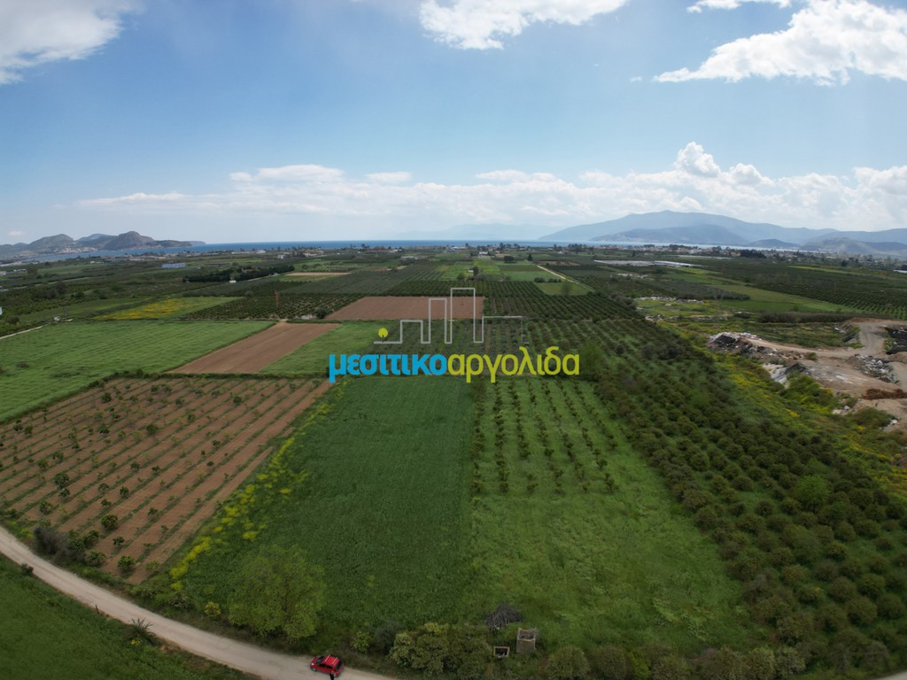Αγροτεμάχια 21.401 τ.μ. προς πώληση, Δαλαμανάρα