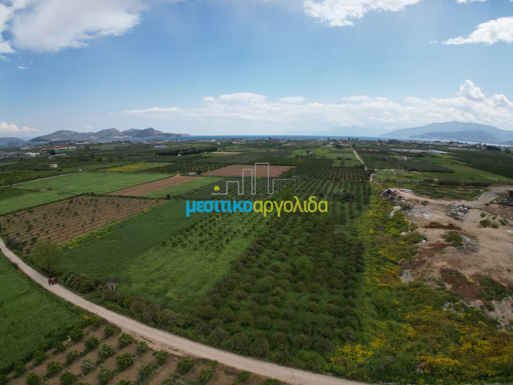 Αγροτεμάχια 21.401 τ.μ. προς πώληση, Δαλαμανάρα