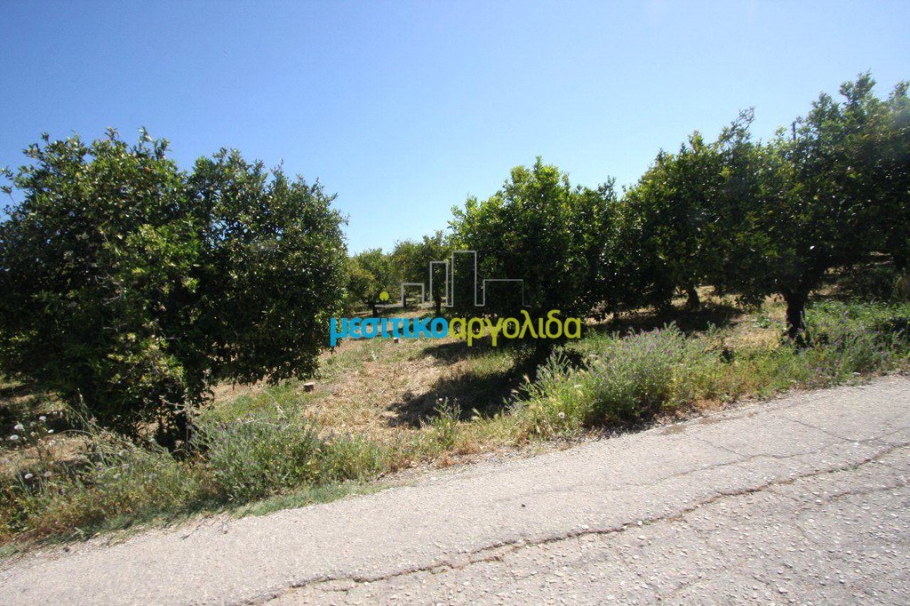 Οικόπεδο 4.600 τ.μ. προς πώληση, Κουρτάκι Άργους