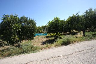 Οικόπεδο 4.600 τ.μ. για πώληση, Αργολίδα, Άργος-thumb-4