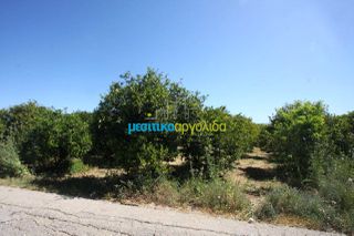 Οικόπεδο 4.600 τ.μ. για πώληση, Αργολίδα, Άργος-thumb-6