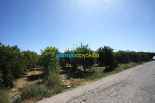 Οικόπεδο 4.600 τ.μ. για πώληση, Αργολίδα, Άργος-thumb-8