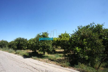 Οικόπεδο 4.600 τ.μ. για πώληση