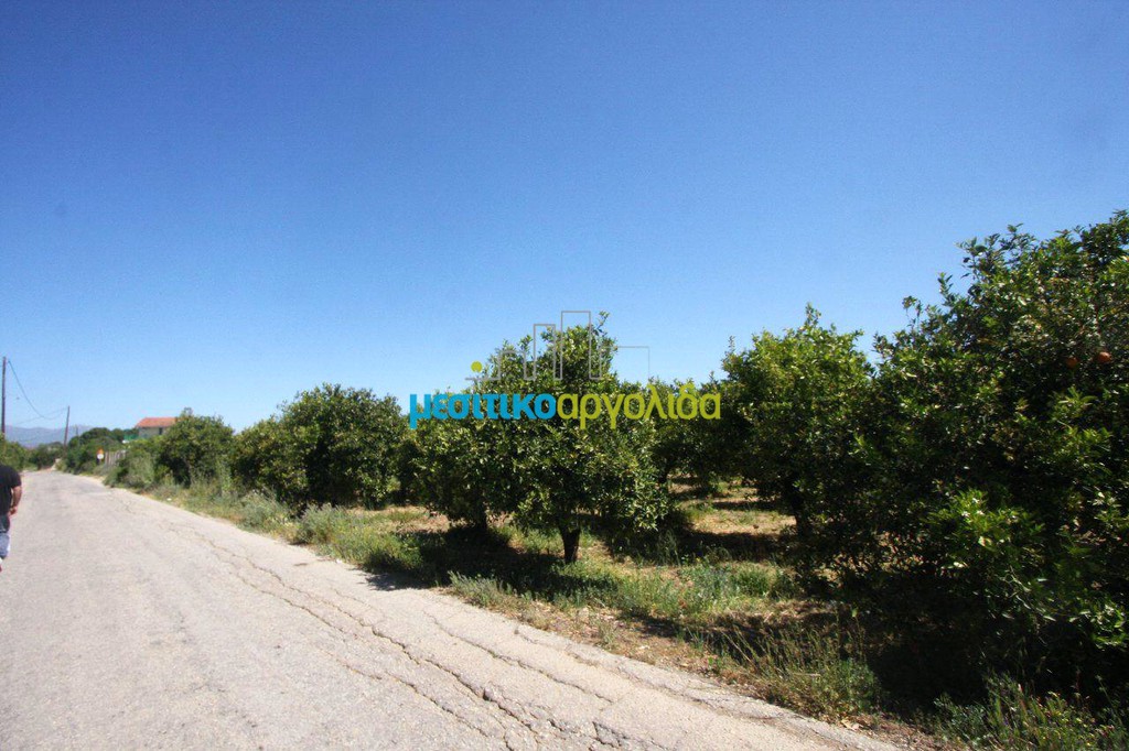 Οικόπεδο 4.600 τ.μ. προς πώληση, Κουρτάκι Άργους