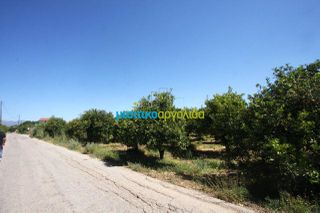 Οικόπεδο 4.600 τ.μ. για πώληση, Αργολίδα, Άργος-thumb-1