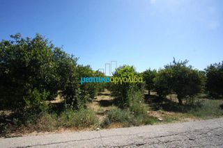 Οικόπεδο 4.600 τ.μ. για πώληση, Αργολίδα, Άργος-thumb-7