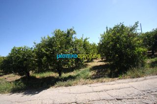Οικόπεδο 4.600 τ.μ. για πώληση, Αργολίδα, Άργος-thumb-3