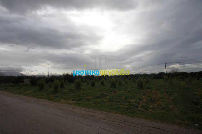 Αγροτεμάχια 2.500 τ.μ. για πώληση, Αργολίδα, Άργος