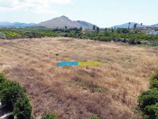 Οικόπεδο 8.002 τ.μ. για πώληση, Αργολίδα, Νέα Τίρυνθα-thumb-1