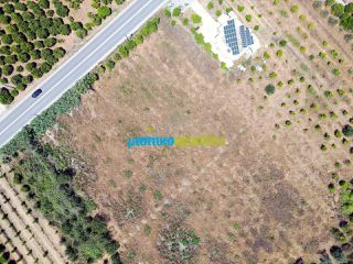 Οικόπεδο 8.002 τ.μ. για πώληση, Αργολίδα, Νέα Τίρυνθα-thumb-7