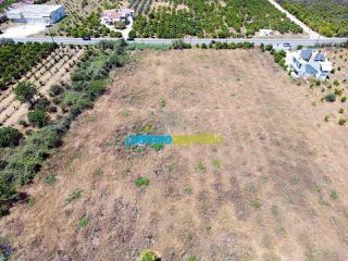 Οικόπεδο 8.002 τ.μ. για πώληση, Αργολίδα, Νέα Τίρυνθα-thumb-3