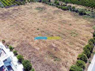 Οικόπεδο 8.002 τ.μ. για πώληση, Αργολίδα, Νέα Τίρυνθα-thumb-9