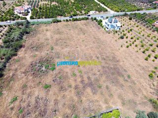 Οικόπεδο 8.002 τ.μ. για πώληση, Αργολίδα, Νέα Τίρυνθα-thumb-4