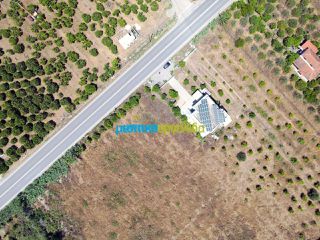 Οικόπεδο 8.002 τ.μ. για πώληση, Αργολίδα, Νέα Τίρυνθα-thumb-8