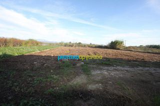 Αγροτεμάχια 6.549 τ.μ. για πώληση, Αργολίδα, Άργος-thumb-1