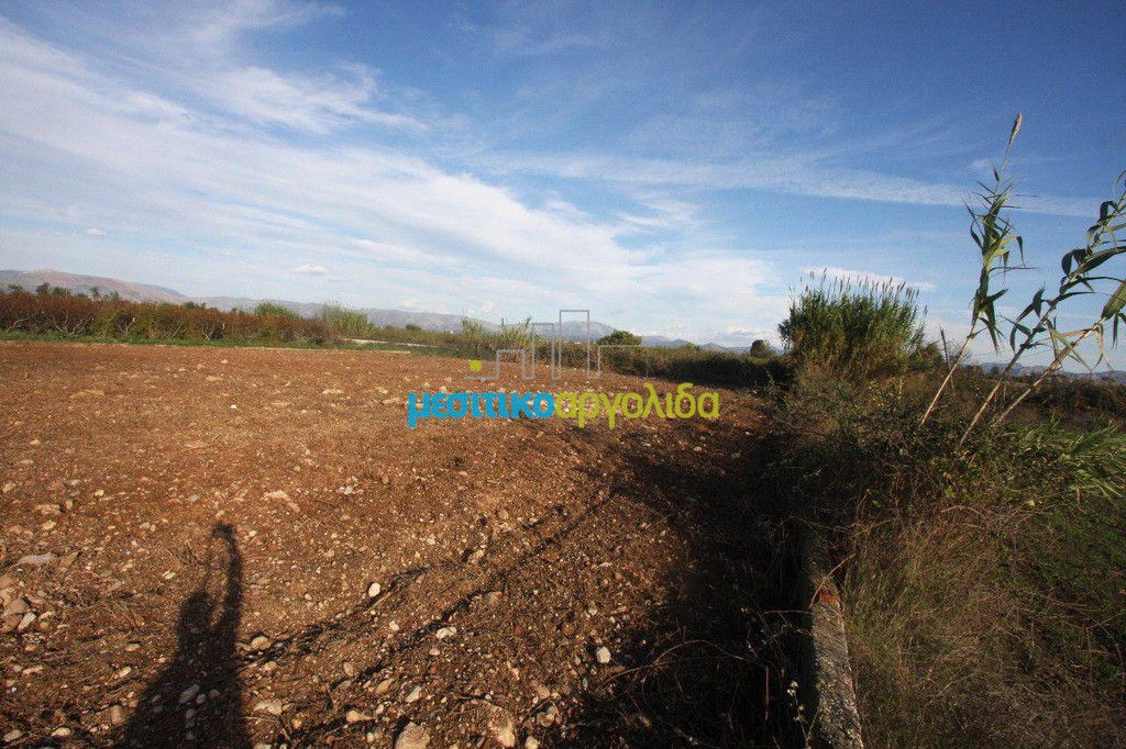 Αγροτεμάχια 6.549 τ.μ. πρός πώληση, Αργολίδα, Άργος