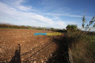 Αγροτεμάχια 6.549 τ.μ. για πώληση, Αργολίδα, Άργος-thumb-3