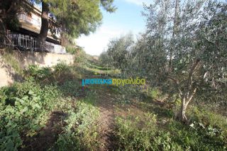 Αγροτεμάχια 6.549 τ.μ. για πώληση, Αργολίδα, Άργος-thumb-4