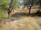 Land plot 2.869sqm for sale-Vitina
