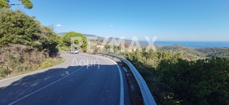 Parcel 5.269sqm for sale-Argalasti » Xinovrisi