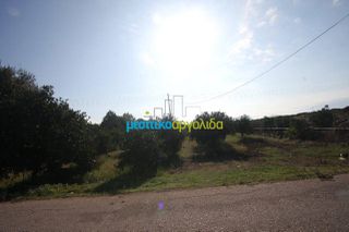 Οικόπεδο 10.500 τ.μ. για πώληση, Αργολίδα, Μιδέα-thumb-2