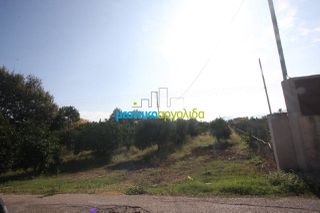 Οικόπεδο 10.500 τ.μ. για πώληση, Αργολίδα, Μιδέα-thumb-3