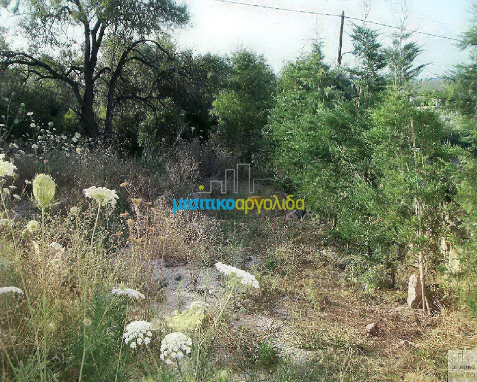 Οικόπεδο 11.500 τ.μ. για πώληση, Αργολίδα, Ασίνη