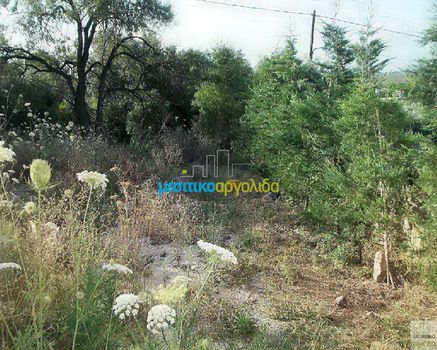 Οικόπεδο 11.500 τ.μ. για πώληση