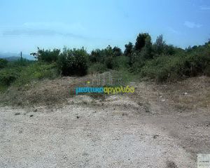 Οικόπεδο 11.500 τ.μ. για πώληση, Αργολίδα, Ασίνη-thumb-12
