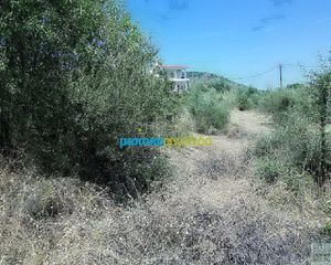 Οικόπεδο 11.500 τ.μ. για πώληση, Αργολίδα, Ασίνη-thumb-15