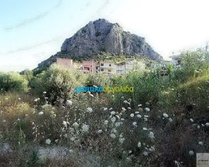 Οικόπεδο 11.500 τ.μ. για πώληση, Αργολίδα, Ασίνη-thumb-3