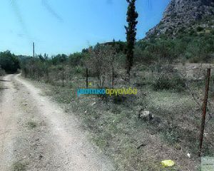 Οικόπεδο 11.500 τ.μ. για πώληση, Αργολίδα, Ασίνη-thumb-20