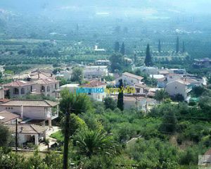Οικόπεδο 11.500 τ.μ. για πώληση, Αργολίδα, Ασίνη-thumb-24