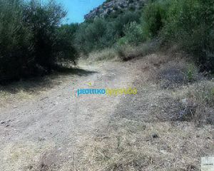 Οικόπεδο 11.500 τ.μ. για πώληση, Αργολίδα, Ασίνη-thumb-9