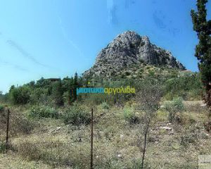 Οικόπεδο 11.500 τ.μ. για πώληση, Αργολίδα, Ασίνη-thumb-23
