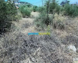 Οικόπεδο 11.500 τ.μ. για πώληση, Αργολίδα, Ασίνη-thumb-16