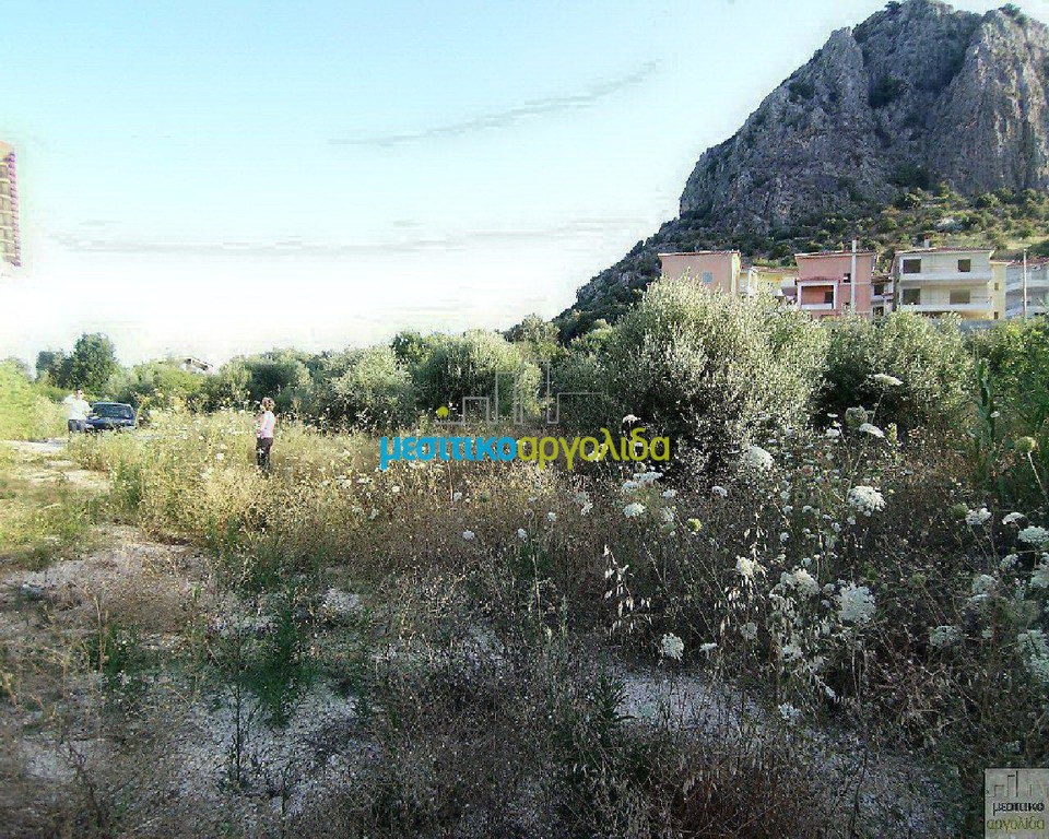 Οικόπεδο 11.500 τ.μ. προς πώληση, Ασίνη