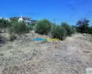 Οικόπεδο 11.500 τ.μ. για πώληση, Αργολίδα, Ασίνη-thumb-11