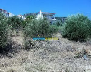 Οικόπεδο 11.500 τ.μ. για πώληση, Αργολίδα, Ασίνη-thumb-8