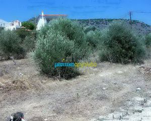Οικόπεδο 11.500 τ.μ. για πώληση, Αργολίδα, Ασίνη-thumb-18