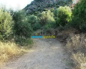 Οικόπεδο 11.500 τ.μ. για πώληση, Αργολίδα, Ασίνη-thumb-6