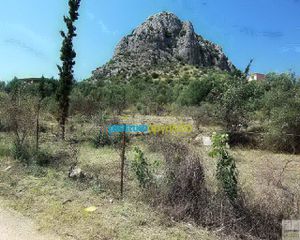 Οικόπεδο 11.500 τ.μ. για πώληση, Αργολίδα, Ασίνη-thumb-21
