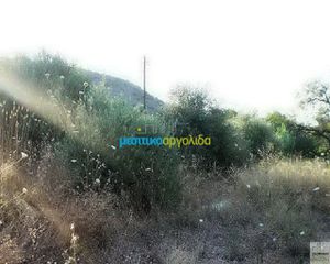 Οικόπεδο 11.500 τ.μ. για πώληση, Αργολίδα, Ασίνη-thumb-7
